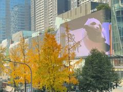 -合景·悠方(成都店)