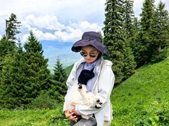 -新疆那拉提国家旅游度假区