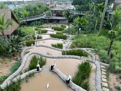 -新加坡飞禽公园