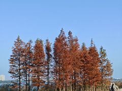 -阳澄湖半岛旅游度假区