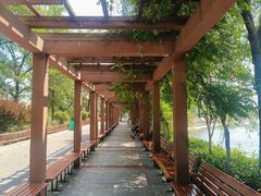 -水镜庄风景区