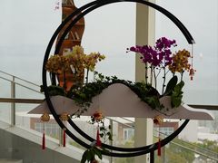 -朵云书院(滴水湖店)