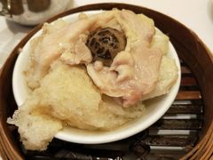 -美心皇宫(沙田大会堂店)