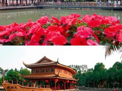 -揭东万竹园旅游景区