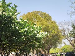-蠡湖大桥公园