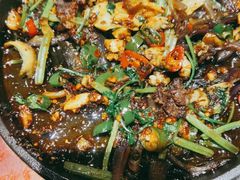 -鸽子窝(宋庄店)