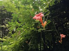 -张乐平故居