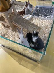 -开心哈乐儿童主题乐园(孙河易事达店)