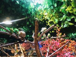 -酷嗒动物文化乐园(cutezoo西溪乐天城店)