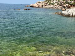 -养马岛旅游度假区