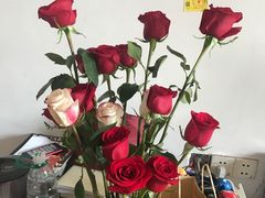 -ROSEONLY诺誓(国际广场购物中心店)