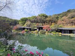 -云溪植物园