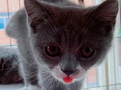 -夫妻串店(和睦路店)