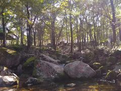 -洛阳白云山景区