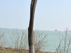 -阳澄湖半岛旅游度假区