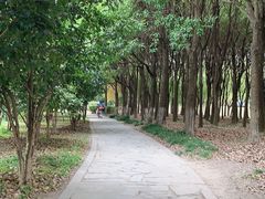 -自然谷恐龙园