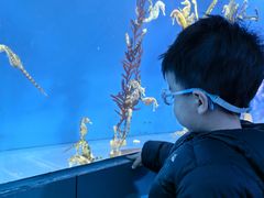 -海合安成都极地海洋公园