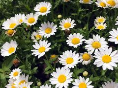 -苏州河梦清园环保主题公园