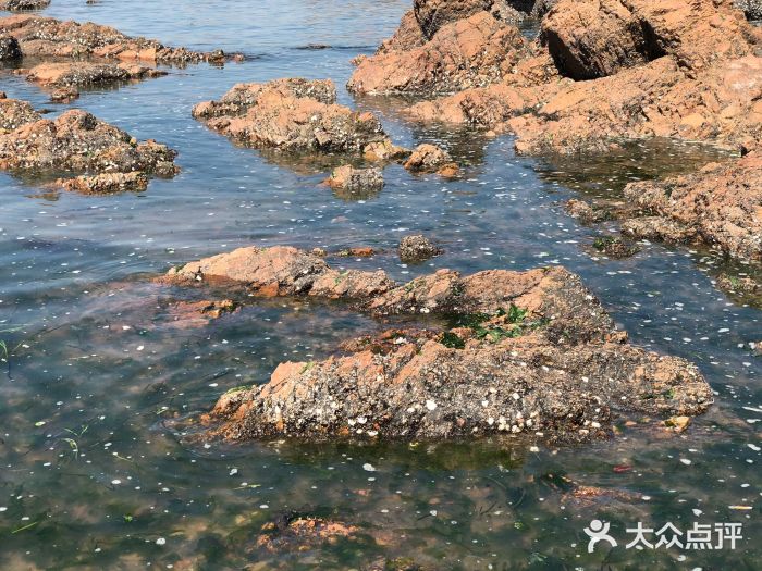 栈桥景区图片