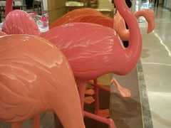 android_upload_pic-乐蓬马歇百货公司(Rive Gauche)