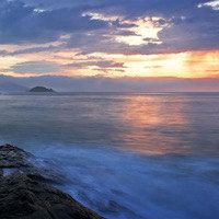 -薇兰专业脱毛连锁机构