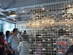 -喜茶(佛山顺德大良东乐路店)