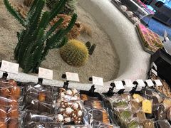 -OUR Bakery(SKP-S店)