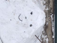 -海胆小馆(东北水饺·春柳店)