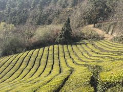 -敬亭山风景名胜区