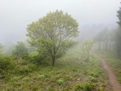 -北京鹫峰国家森林公园