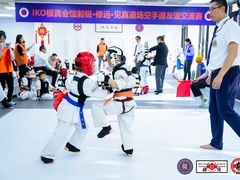 -极真空手道修远道场