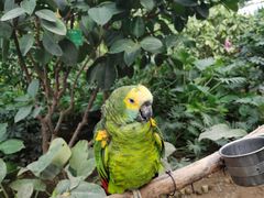 -南宫五洲植物乐园