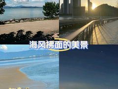-深圳湾公园(南山区)