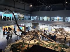 -自贡恐龙博物馆