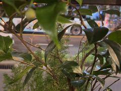 -ibarrel爱杯·bistro&brunch(江宁路店)