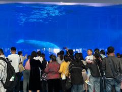 -泉城欧乐堡海洋极地世界