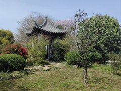 -海珠湖公园