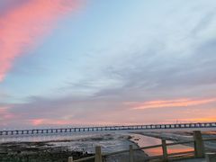 -宝安西湾红树林湿地公园