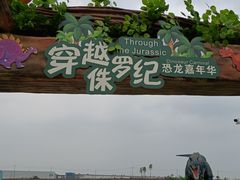 -空港花田景区