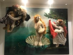 -济州岛泰迪熊博物馆