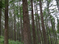 -驼梁风景区