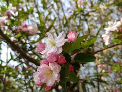 -海棠花溪(元大都城垣遗址公园)
