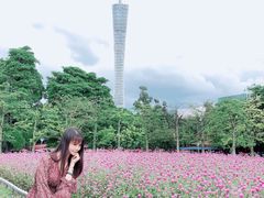 -二沙岛艺术公园