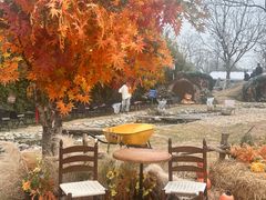 -HERRE·FARM 赫尔露营农场·团建聚会包场