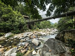 -海南热带雨林国家公园吊罗山景区