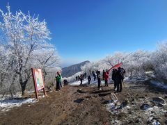 -湖州龙王山景区