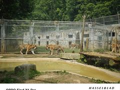 -黔灵山公园