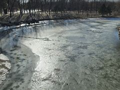 -大兴滨河森林公园