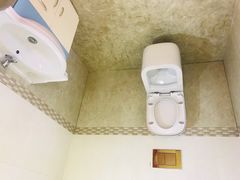 -金山农民画村-枫泾波兰倒置屋