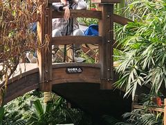 -南宫五洲植物乐园